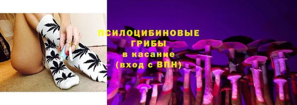 прущая мука Инсар