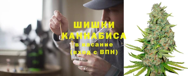 прущая мука Инсар