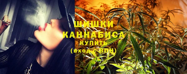 молекула духа Шарыпово