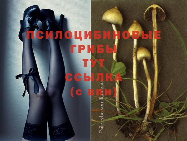 PSILOCYBIN Иннополис