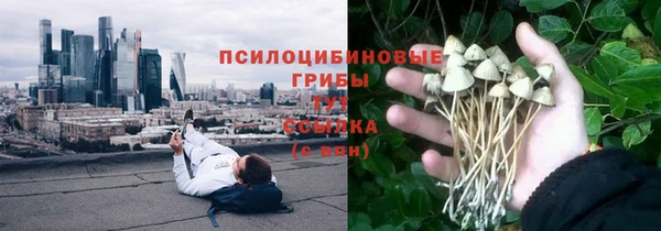 PSILOCYBIN Иннополис