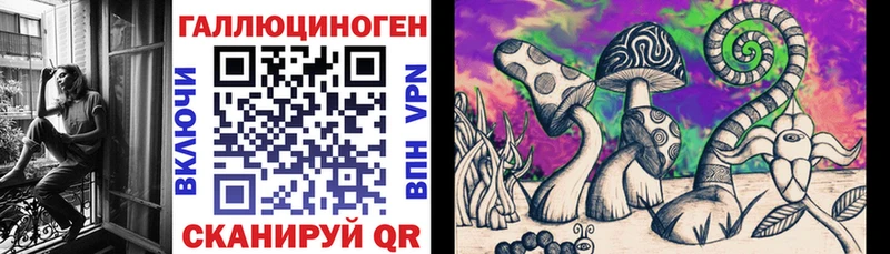 Купить где  Кумертау  Галлюциногенные грибы Cubensis 